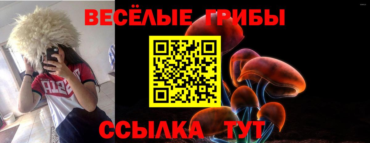 Псилоцибиновые грибы Psilocybe  Галлюциногенные грибы ЛСД  Прокопьевск  Вход с VPN 