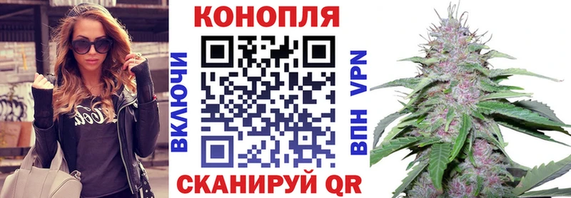 Конопля White Widow  закладка  мега сайт  Прокопьевск 